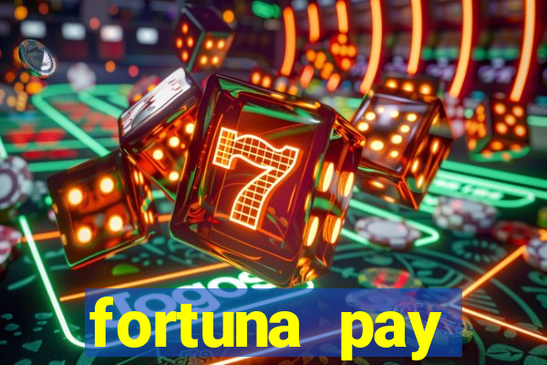 fortuna pay consultoria financeira ltda